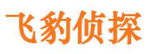 綦江市私家侦探